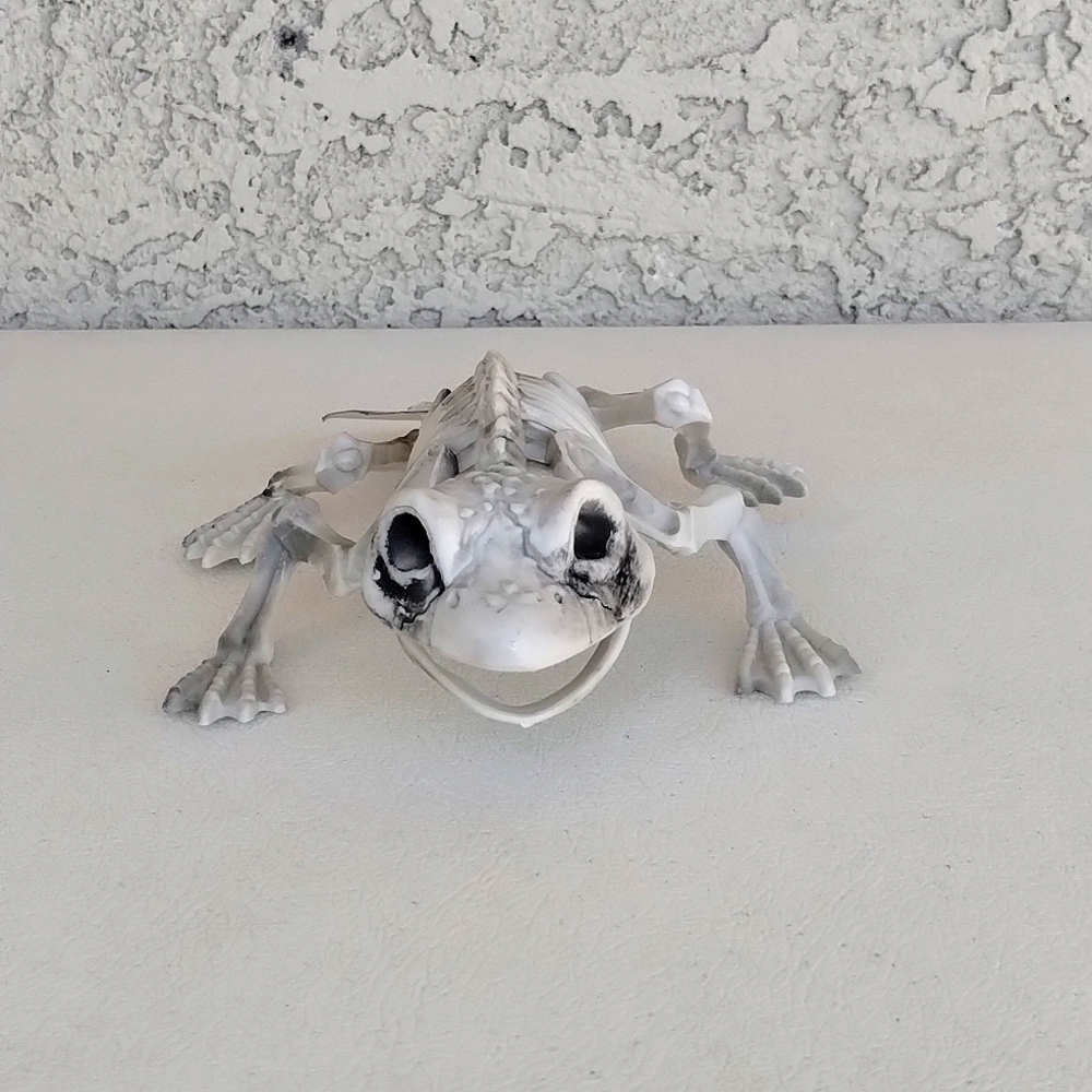 Happy Halloween Skeleton Frog